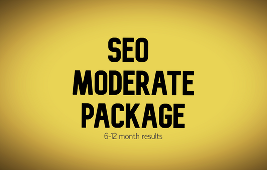 SEO Moderate Package